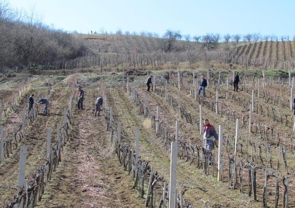 Пример за поштовање