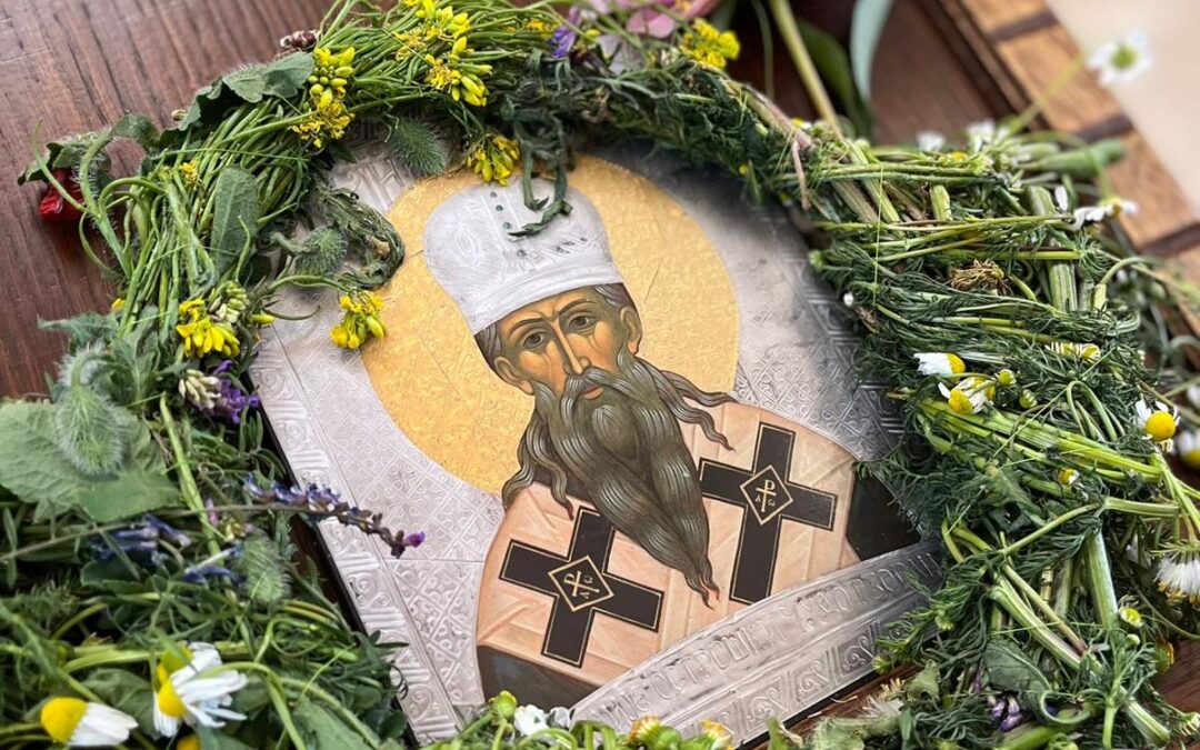 Свети Василије Острошки